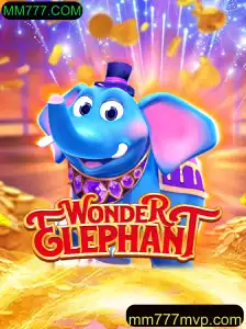 Explorando o Fascinante Mundo de WonderElephant